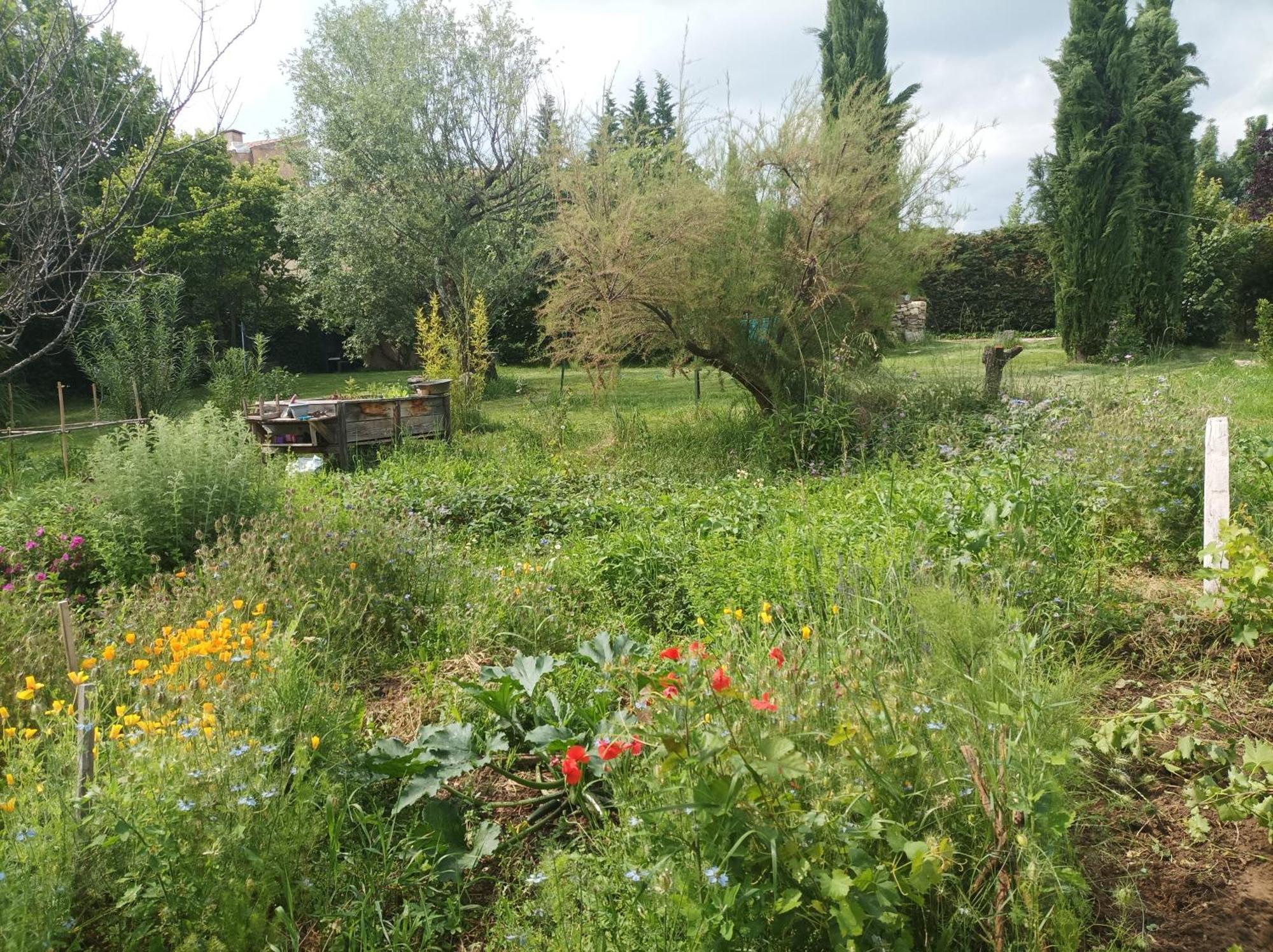 לינה וארוחת בוקר Saint-Étienne-les-Orgues Campagne De Pre Grand מראה חיצוני תמונה